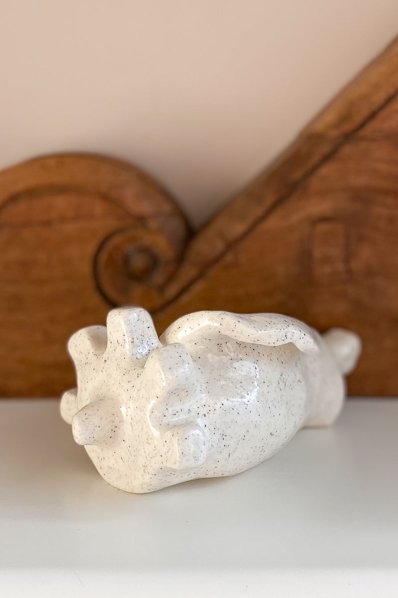 01 Conch Shell Dish