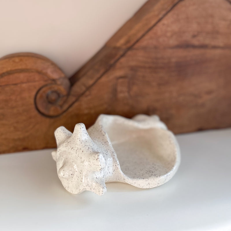 11 Conch Shell Dish