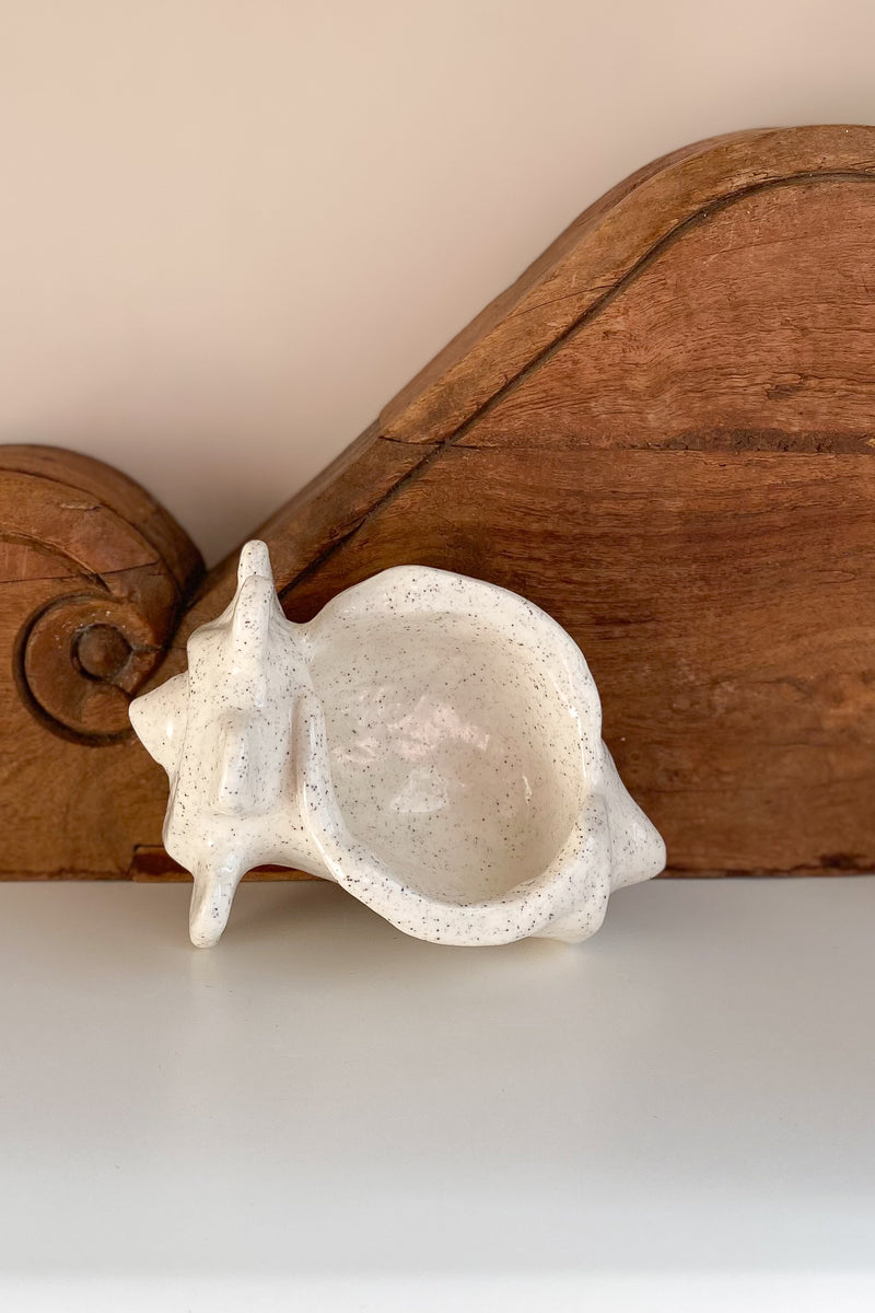 02 Conch Shell Dish