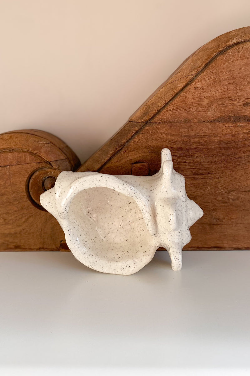 02 Conch Shell Dish