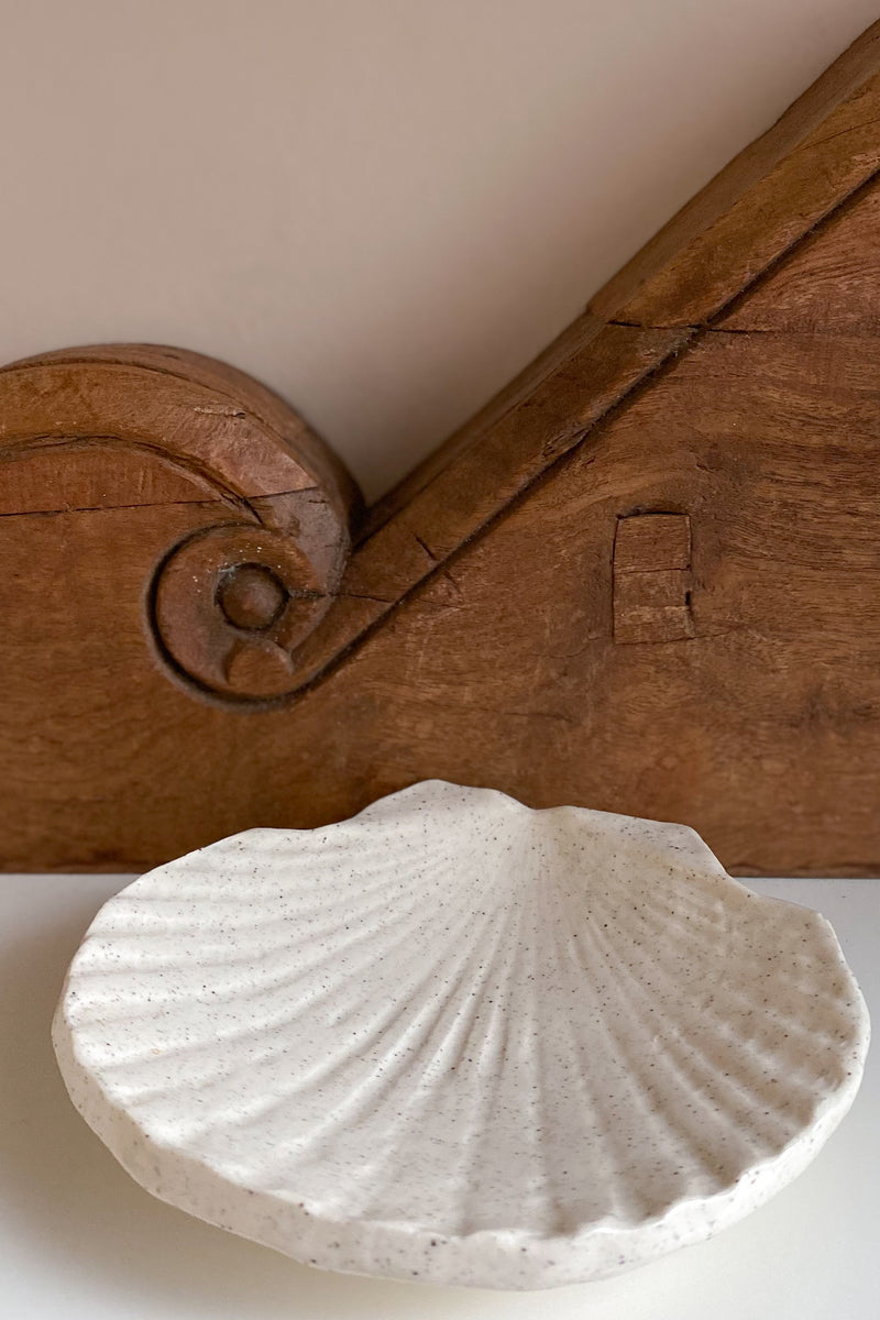 02 Scallop Shell Dish large