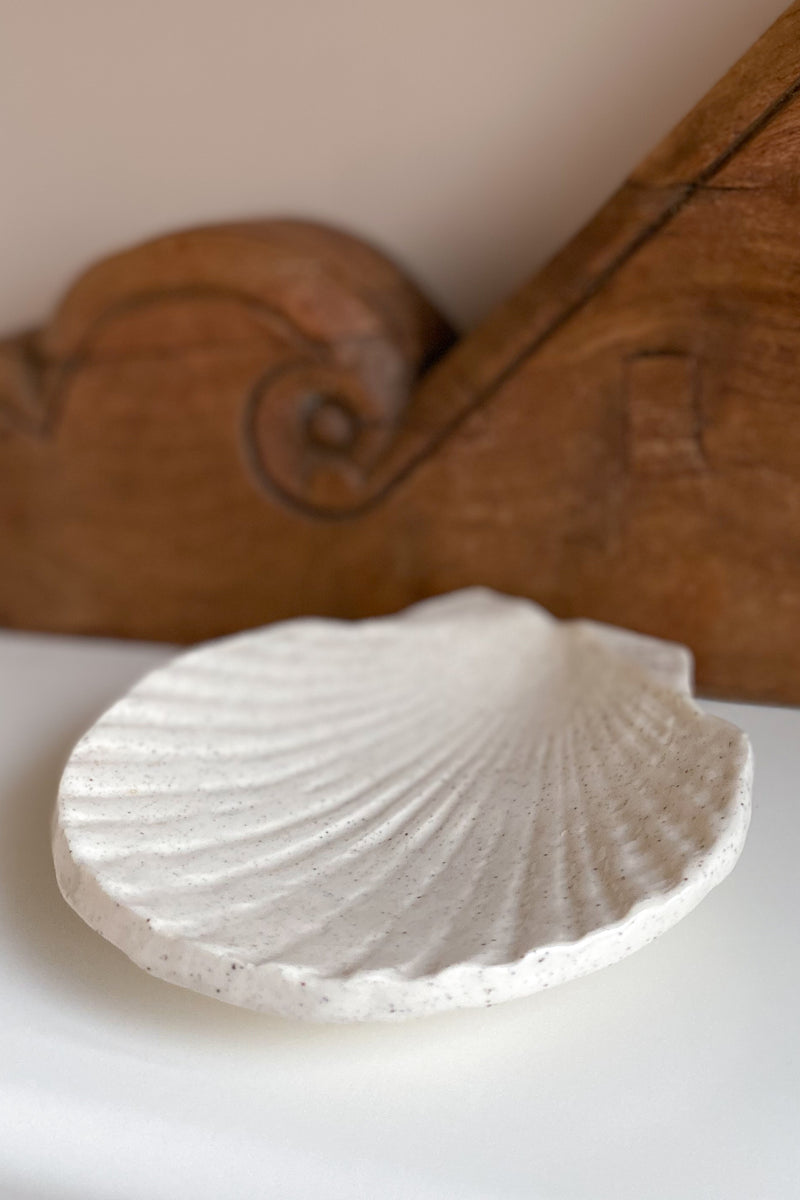 02 Scallop Shell Dish large