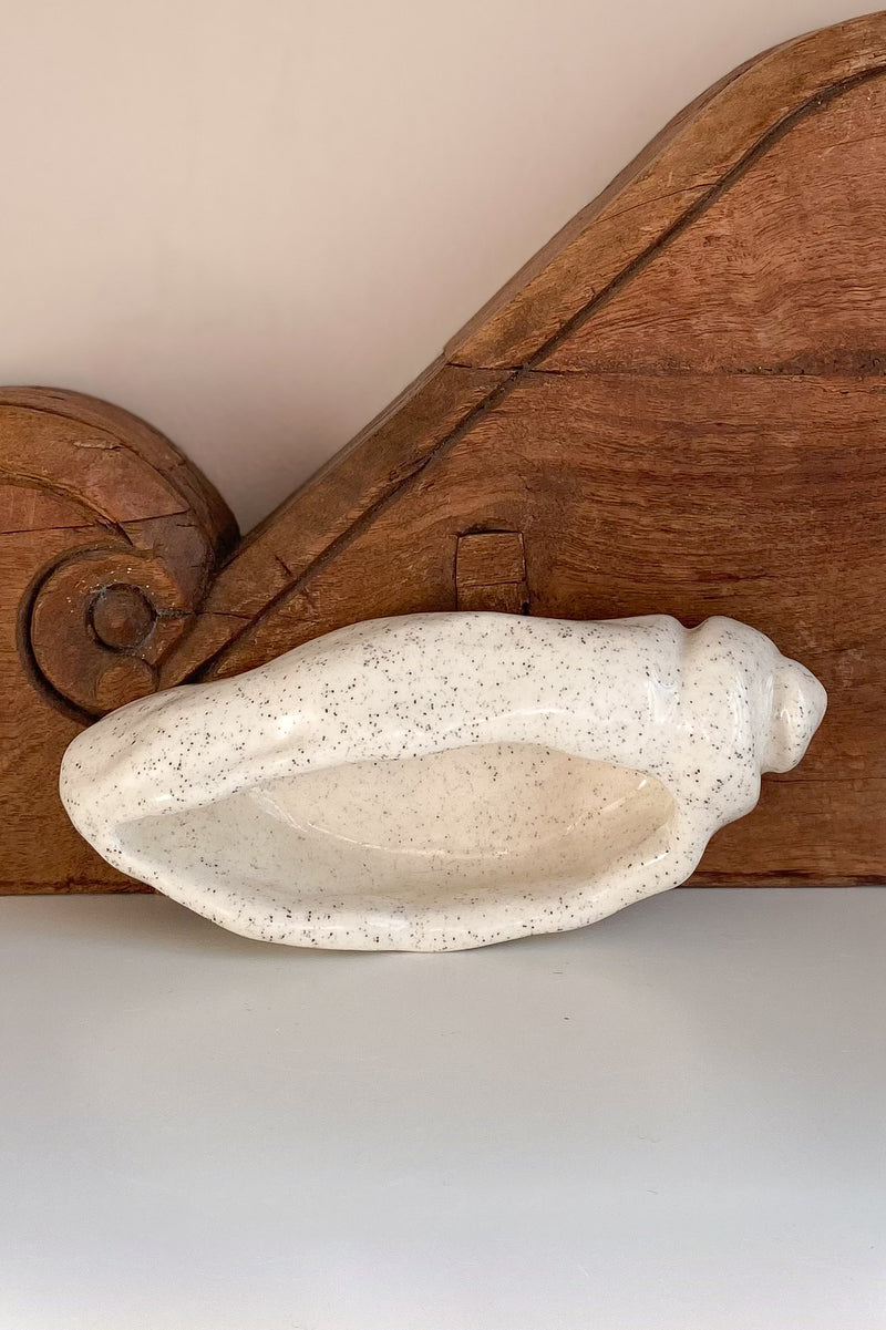 07 Conch Shell Dish