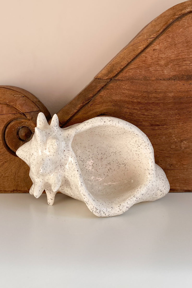 04 Conch Shell Dish