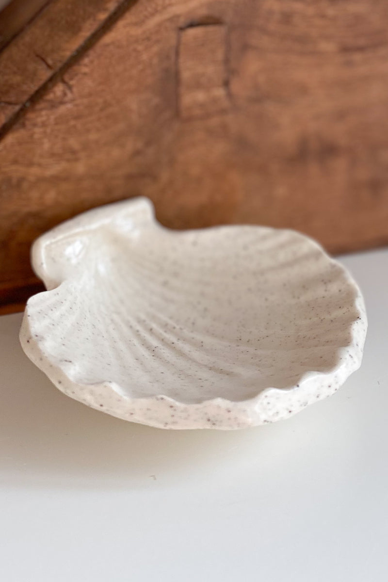 01 Scallop Shell Dish Small