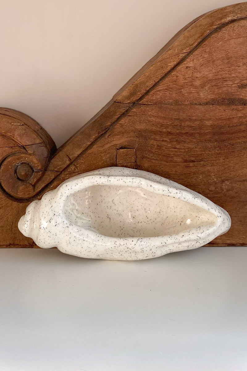 07 Conch Shell Dish