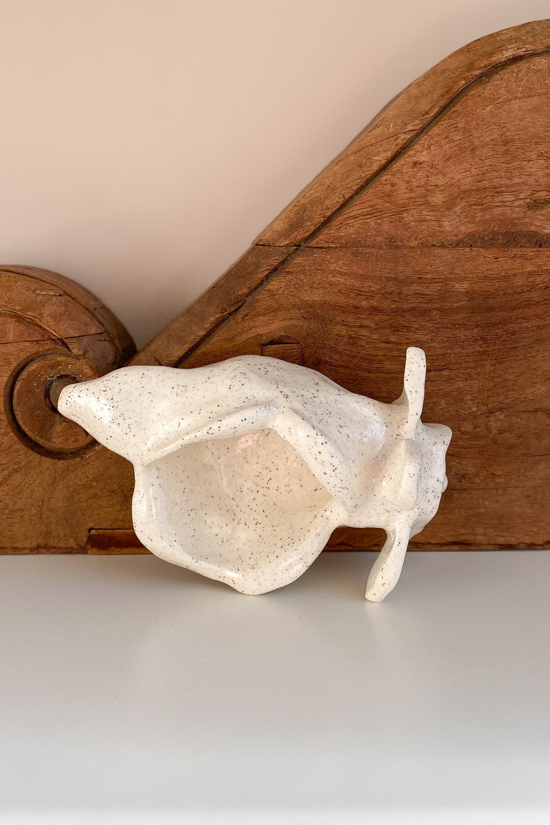 03 Conch Shell Dish