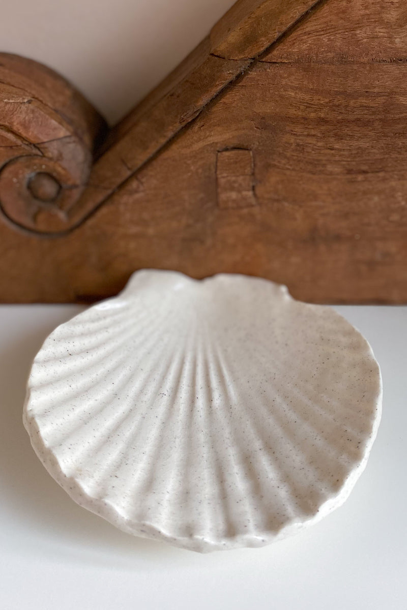 01 Scallop Shell Dish large