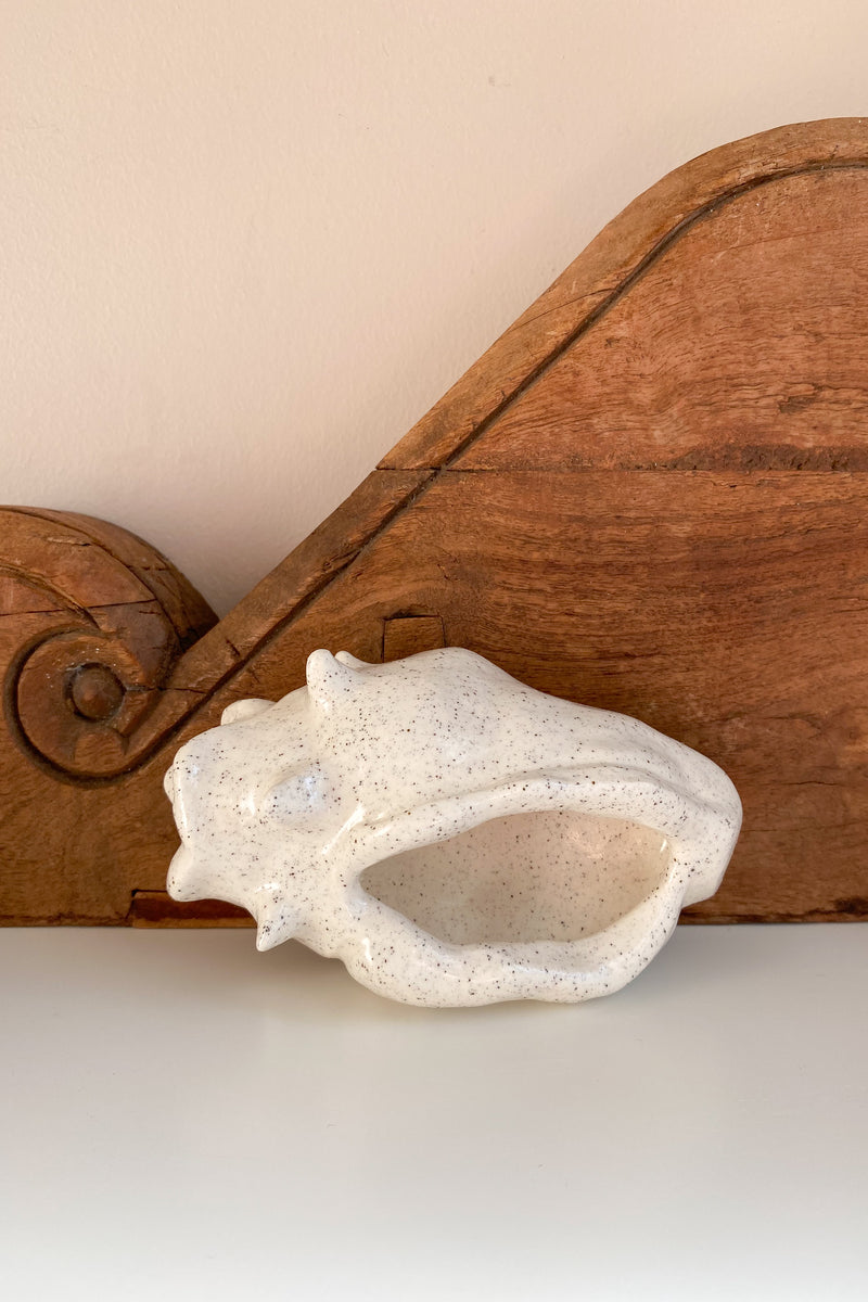 06 Conch Shell Dish