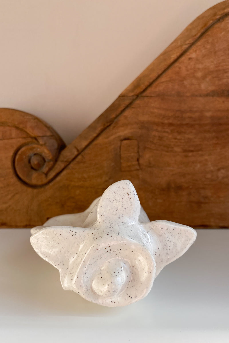 03 Conch Shell Dish