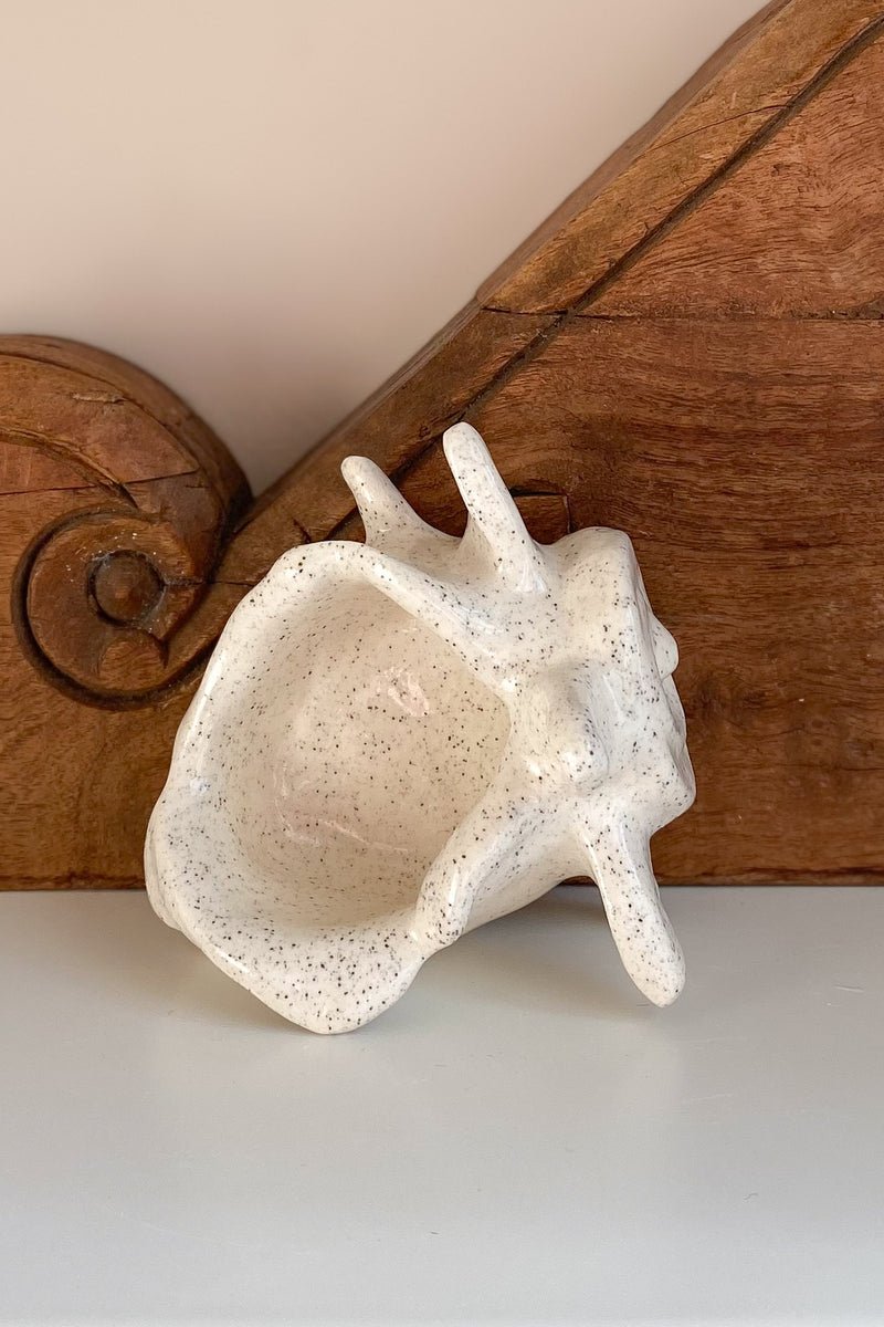 09 Conch Shell Dish