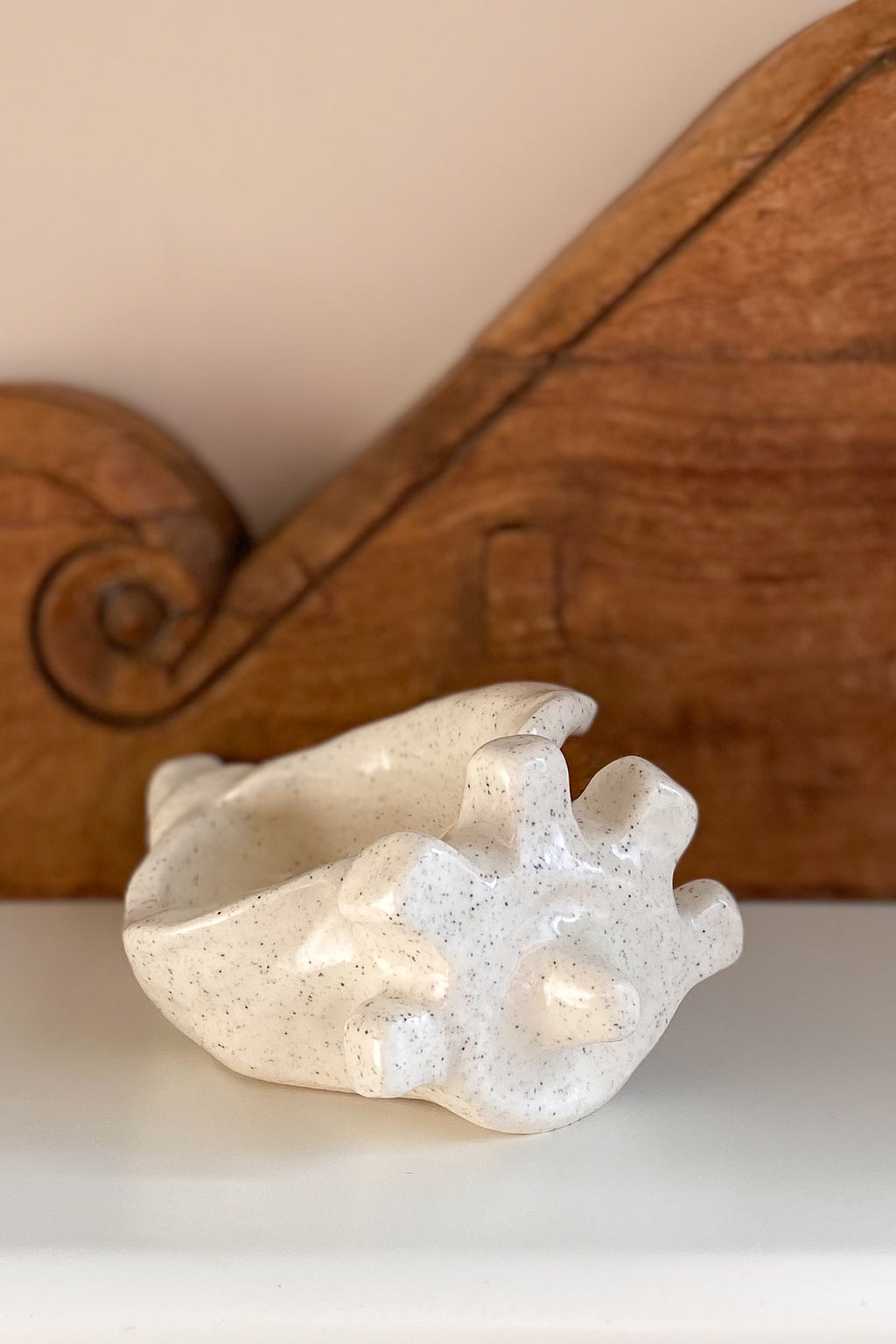 01 Conch Shell Dish