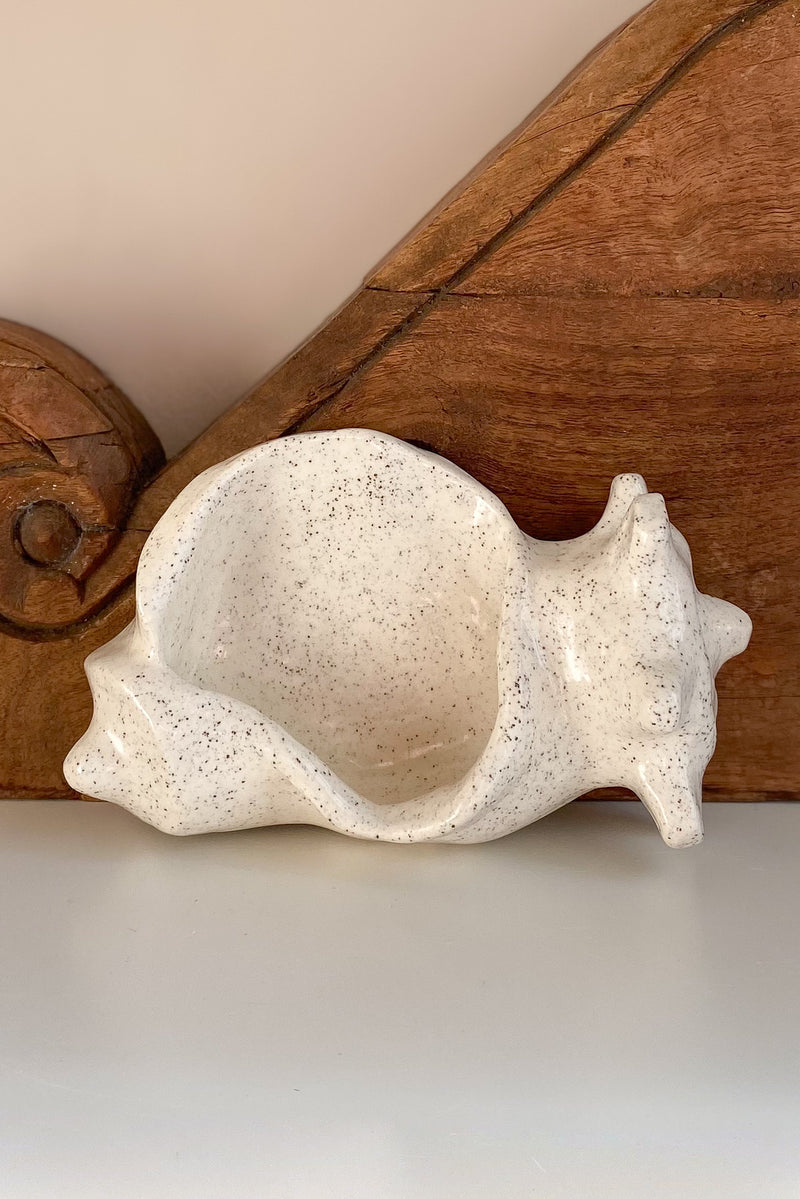 11 Conch Shell Dish