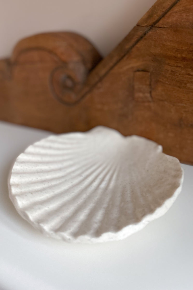 01 Scallop Shell Dish large