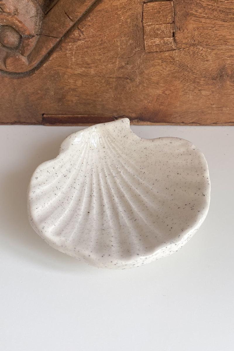 04 Scallop Shell Dish Small