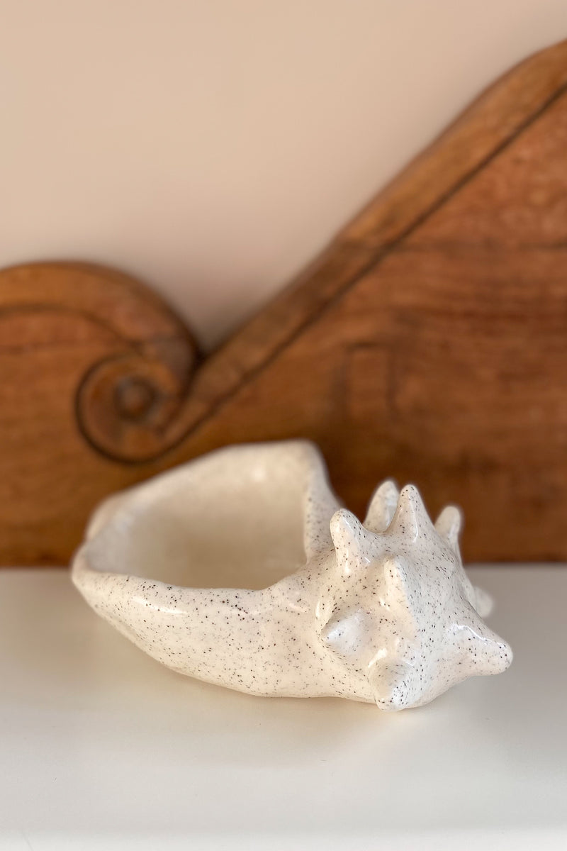 04 Conch Shell Dish