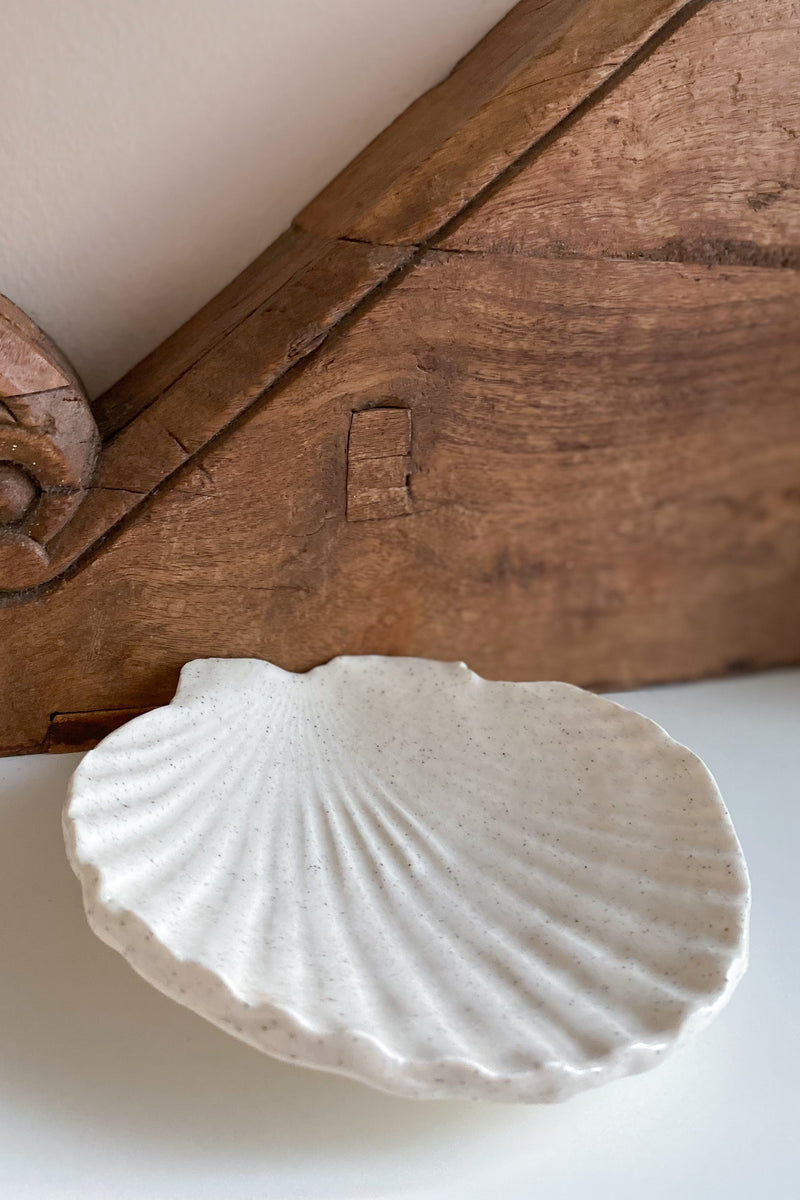 01 Scallop Shell Dish large