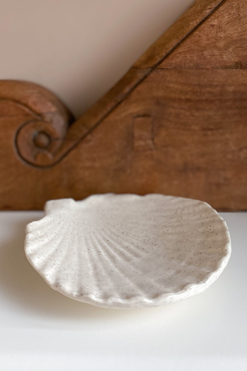 03 Scallop Shell Dish large