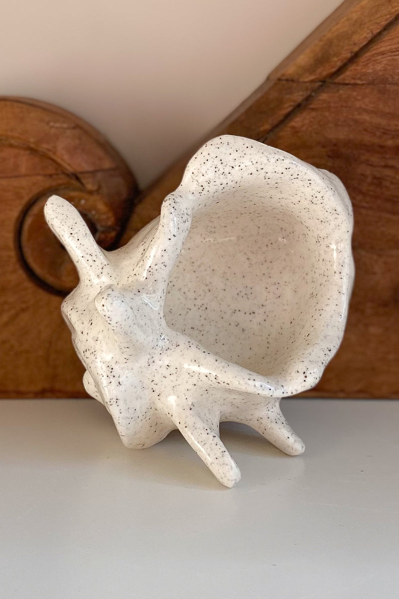 09 Conch Shell Dish