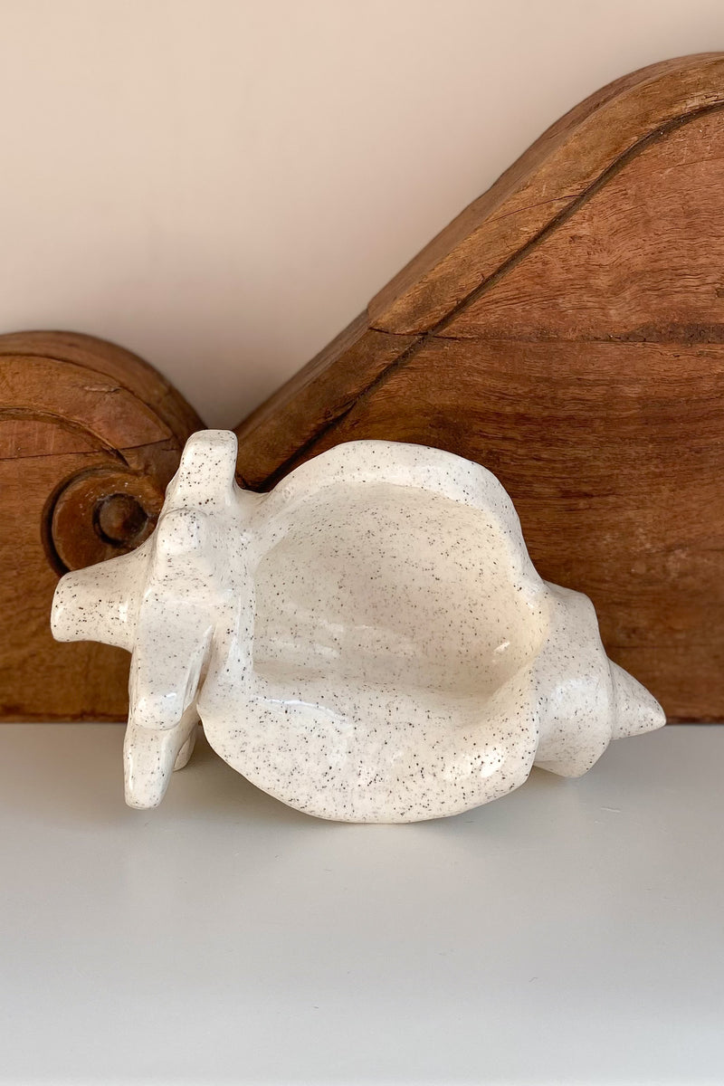 10 Conch Shell Dish