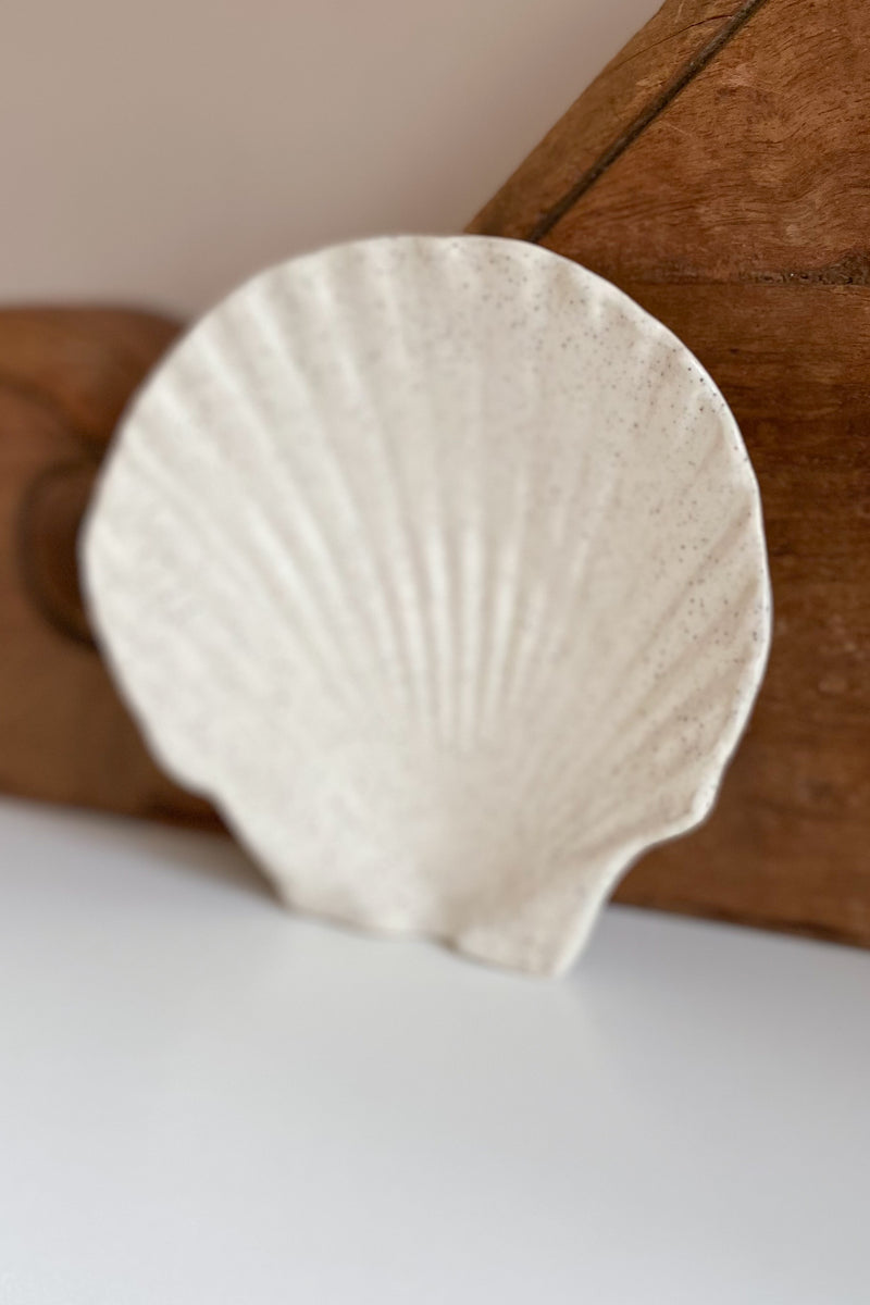 03 Scallop Shell Dish large