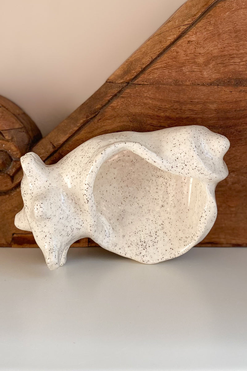 11 Conch Shell Dish