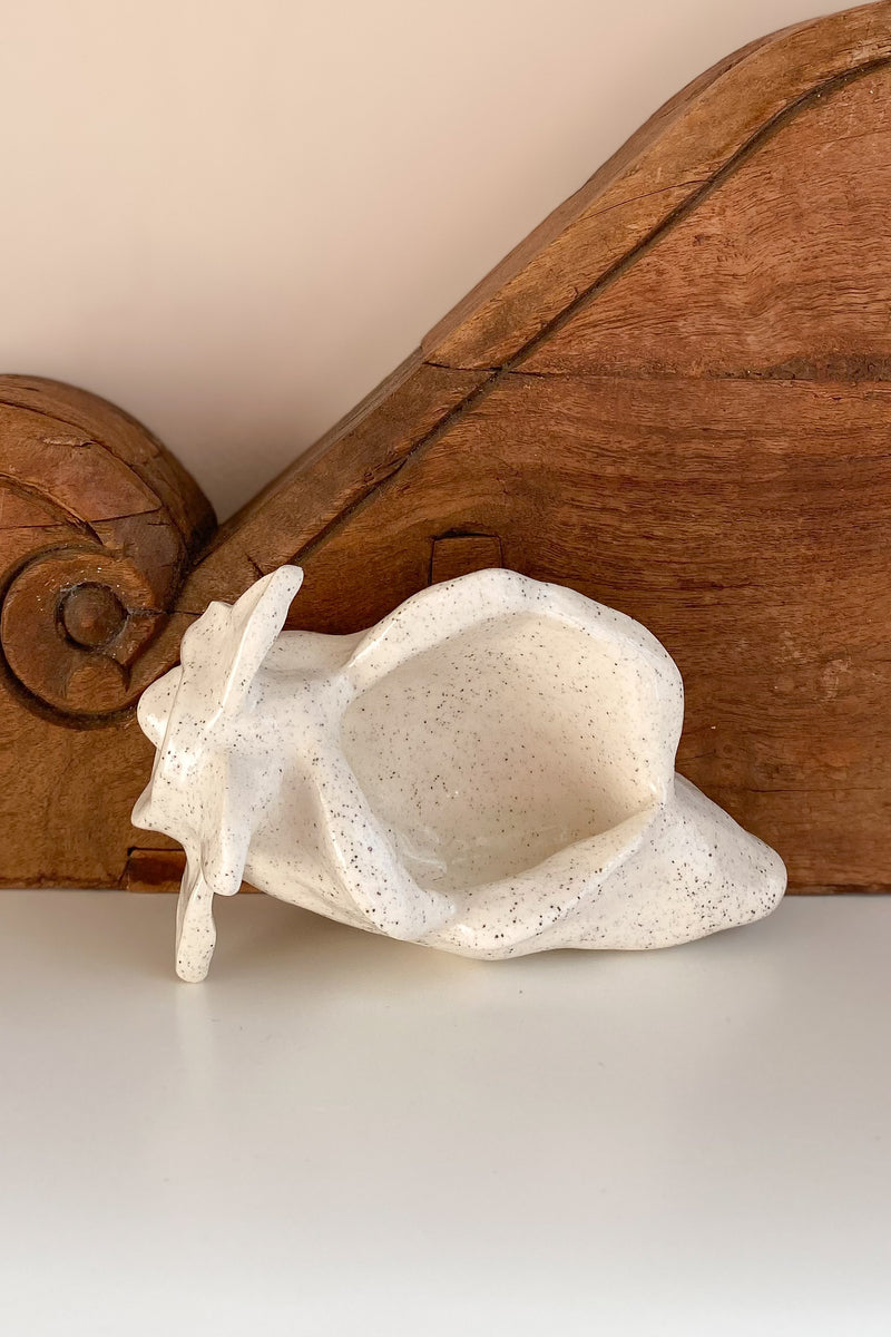 03 Conch Shell Dish