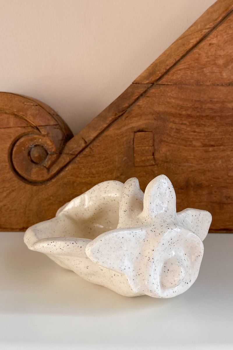 03 Conch Shell Dish