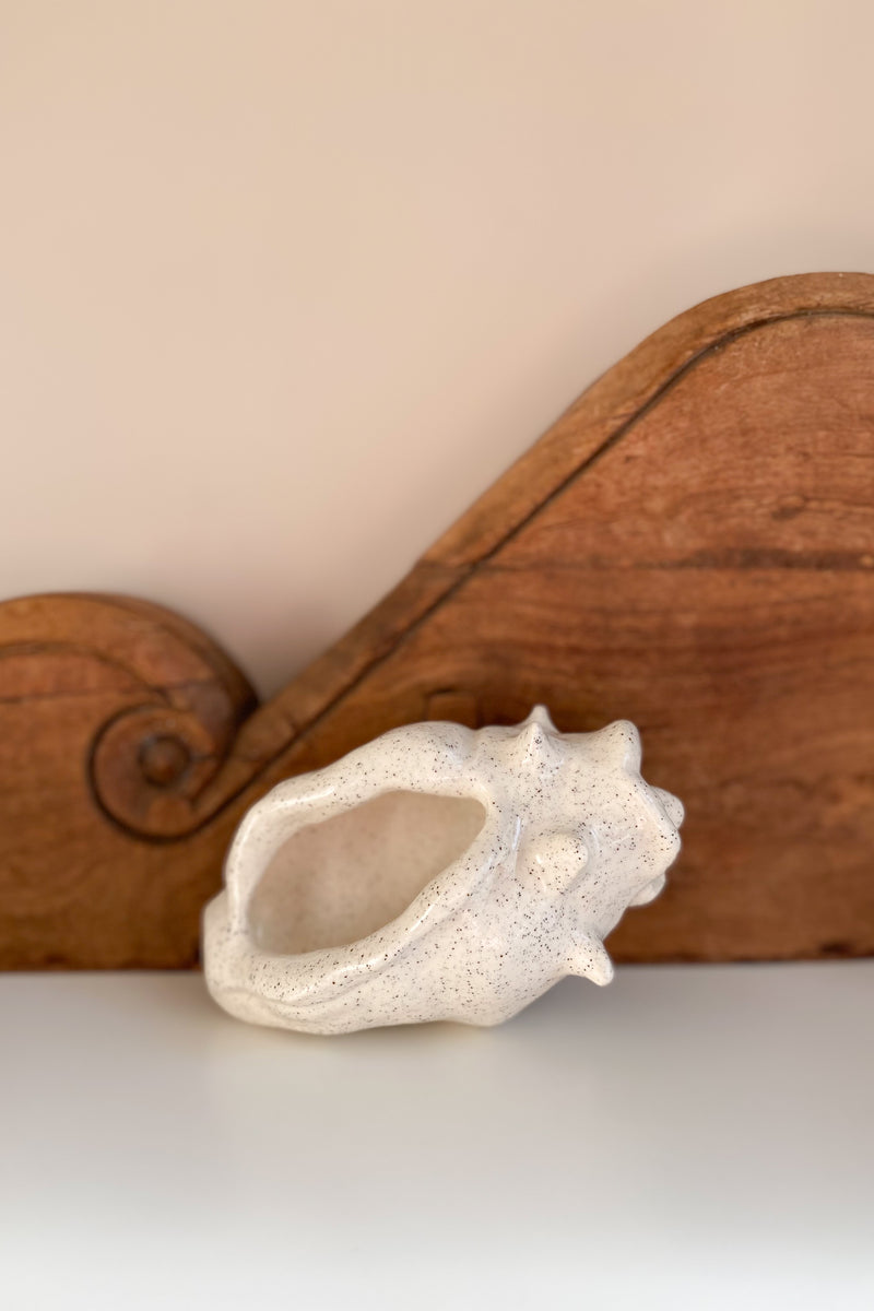 06 Conch Shell Dish