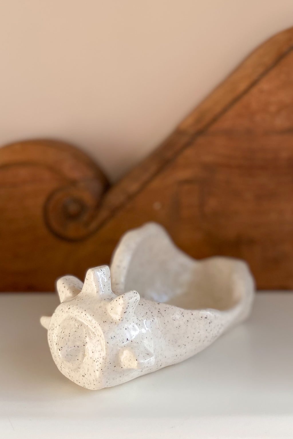 05 Conch Shell Dish