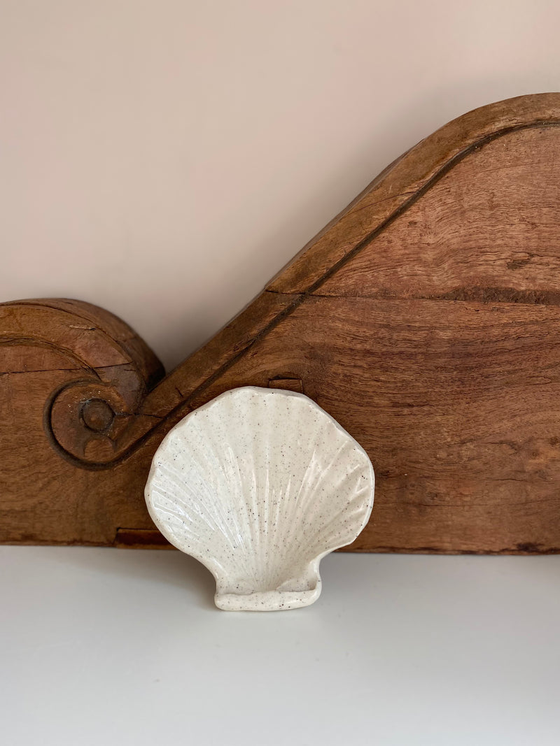 05 Scallop Shell Dish Small