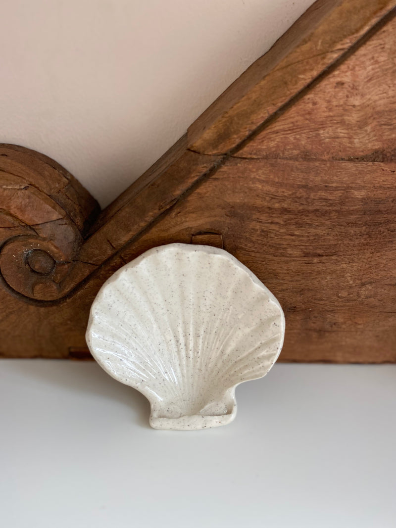 05 Scallop Shell Dish Small