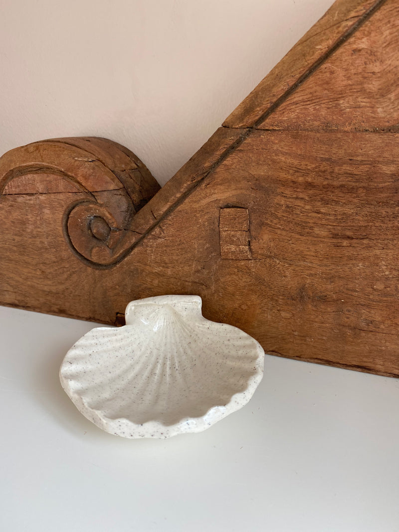 05 Scallop Shell Dish Small