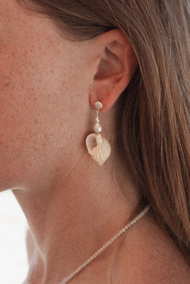 White Cone Shell Scallop and Pearl Earrings - STERLING SILVER